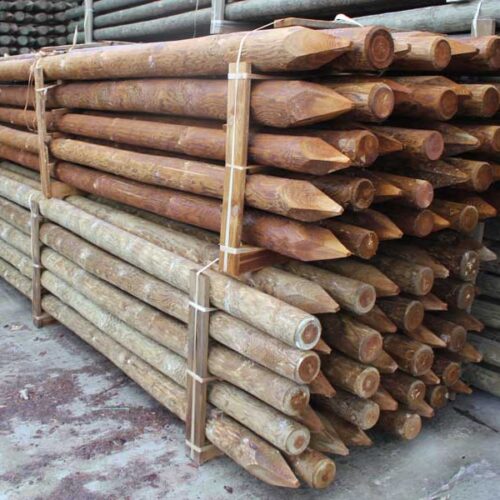 Pali in legno con punta
